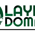 Layi Domain Logo